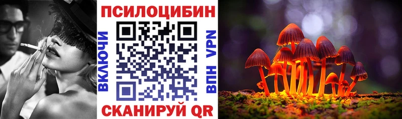 где купить наркотик  блэк спрут как войти  Галлюциногенные грибы Cubensis  Баймак 